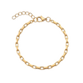Paperclip Link Anklet