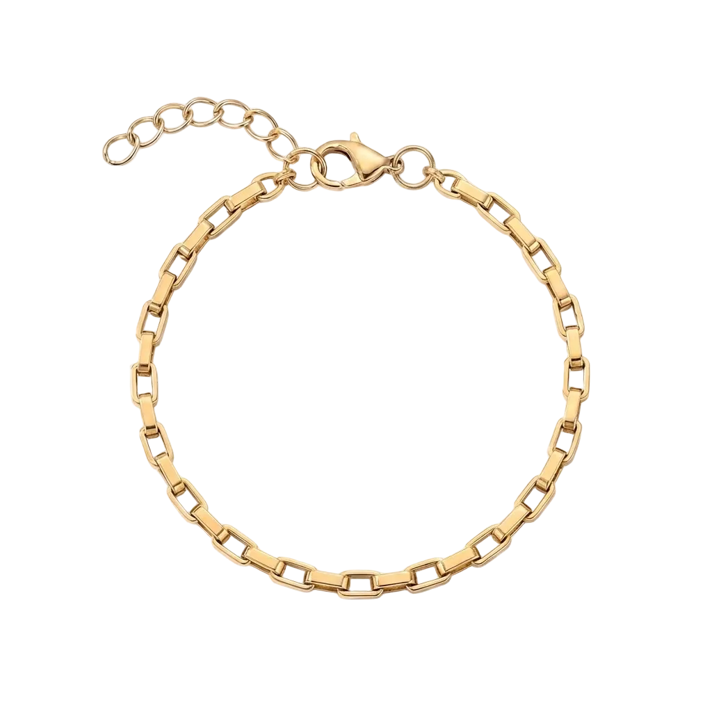 Paperclip Link Anklet